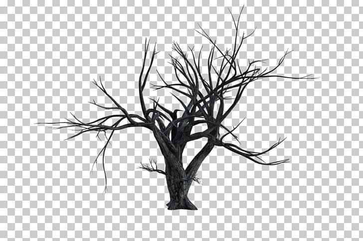 Twig Tree Album Photobucket PNG, Clipart, Album, Black And White, Branch, Creative, Death Free PNG Download