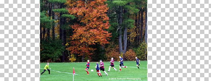 Browns Corner New Hartford Youth Soccer West Hartford Youth Soccer Association Football Town PNG, Clipart, Athletics Field, Biome, Connecticut, Ecosystem, Flora Free PNG Download