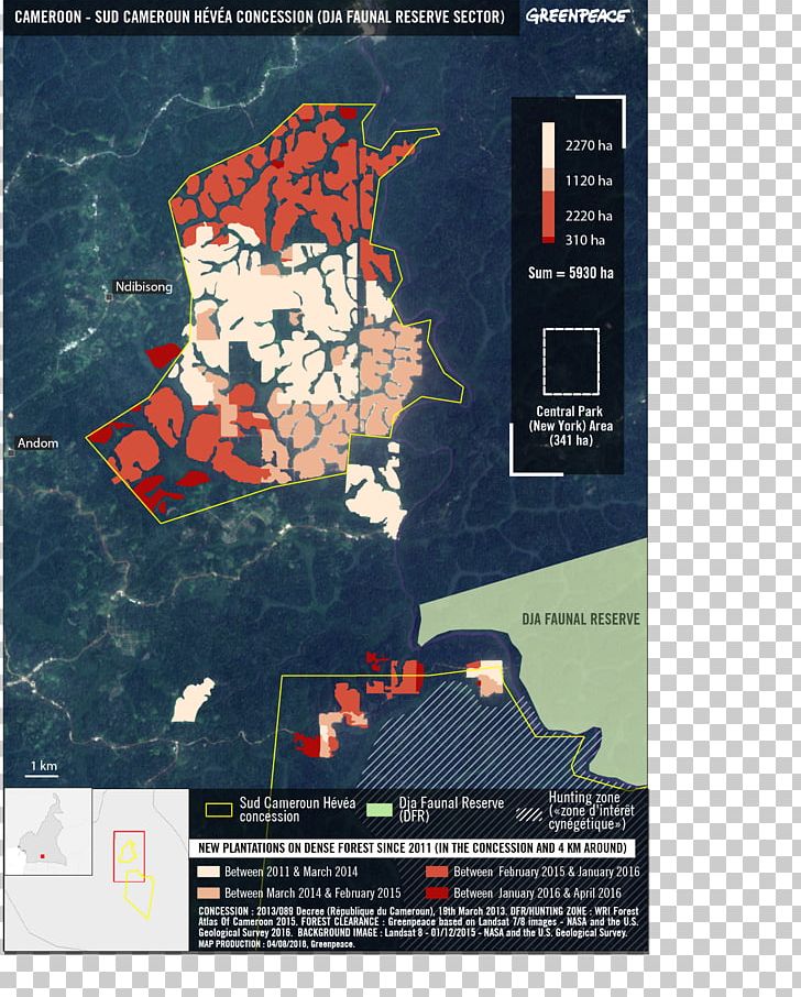 Cameroon Pará Rubber Tree Plantation Forest Greenpeace PNG, Clipart, Billboard, Brand, Cameroon, Dja, Door Free PNG Download