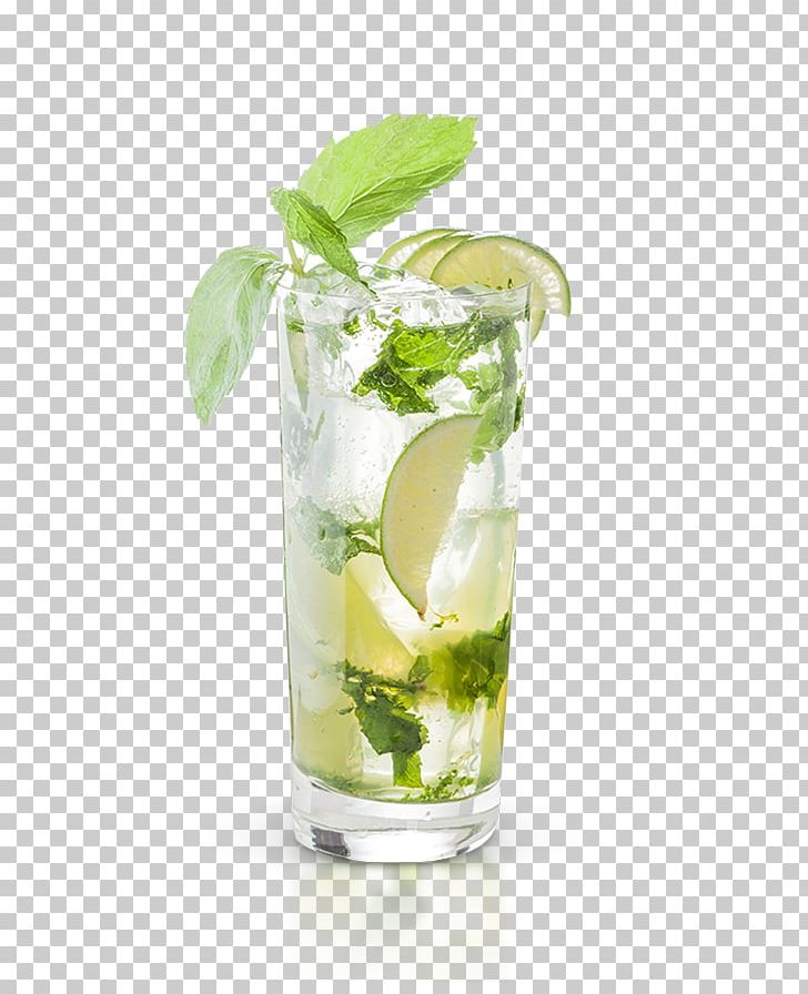 Mojito Lime Lemonade Sea Breeze Vodka Tonic PNG, Clipart, Blanco, Cocktail, Cocktail Garnish, Don Julio, Drink Free PNG Download