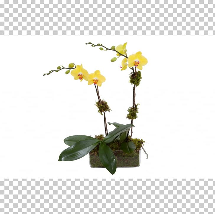 Moth Orchids Flowerpot Dendrobium Cut Flowers PNG, Clipart, Artificial Flower, Branch, Cut Flowers, Dendrobium, Flora Free PNG Download