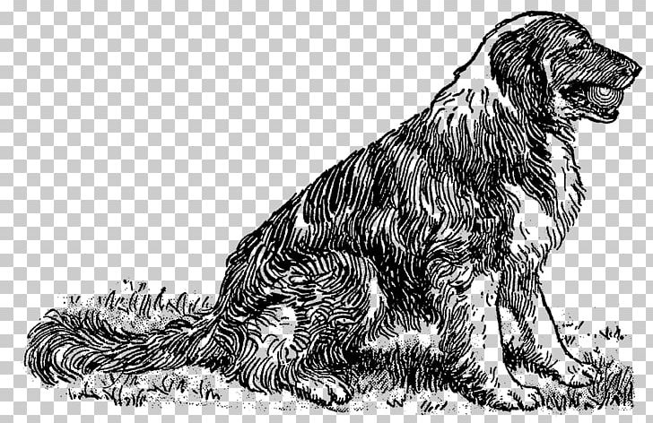 Russian Spaniel Dog Breed Sporting Group Setter PNG, Clipart, Black And White, Breed, Carnivoran, Dog, Dog Breed Free PNG Download