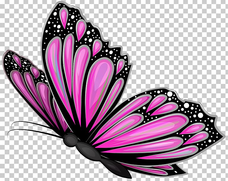Butterfly Pink PNG, Clipart, Brush Footed Butterfly, Butterflies, Clipart, Color, Design Free PNG Download