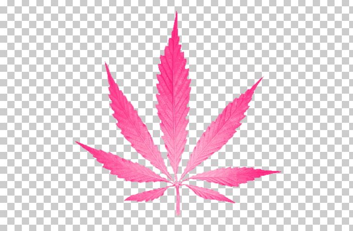 Cannabis Leaf Hemp Spots PNG, Clipart, Cannabaceae, Cannabis, Cannabis Cultivation, Hemp, Leaf Free PNG Download