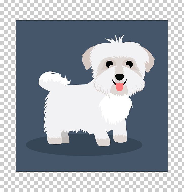 Maltese Dog Havanese Dog West Highland White Terrier Puppy Dog Breed PNG, Clipart, Animals, Bichon, Bichon Frise, Breed, Bullmastiff Free PNG Download
