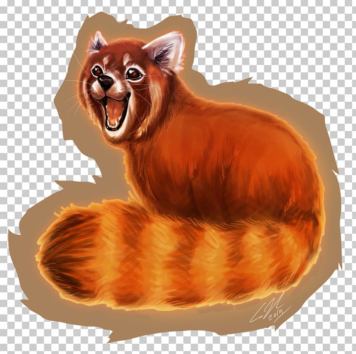 Cat Whiskers Red Panda Carnivora Mammal PNG, Clipart, Animal, Animals, Big Cat, Big Cats, Carnivora Free PNG Download