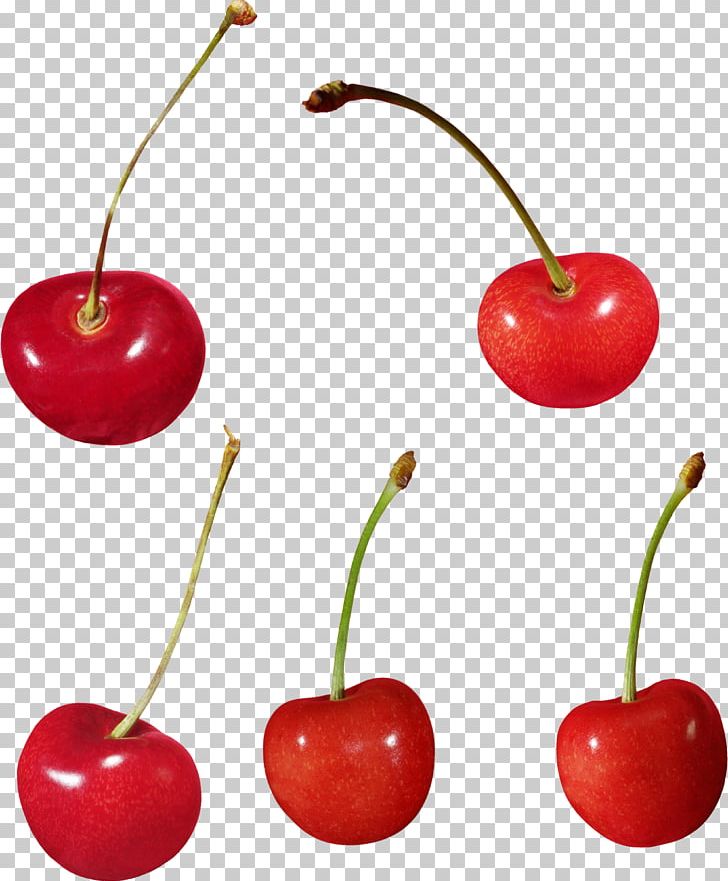 Cherry Food Cerasus PNG, Clipart, Acerola, Blackberry, Cerasus, Cherry, Digital Image Free PNG Download