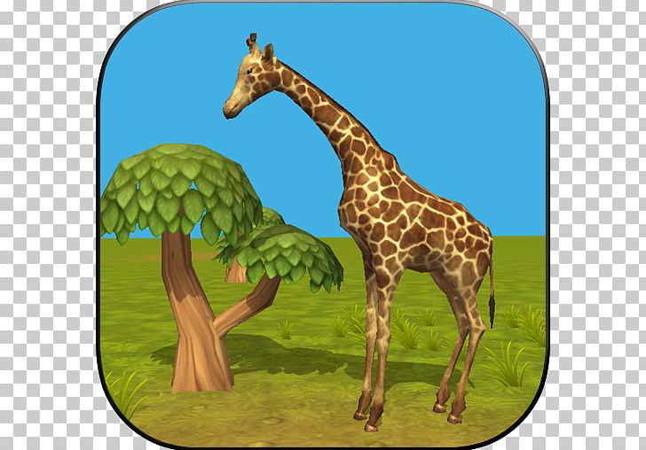Giraffe Simulator Penguin Simulator Android Bear Simulator PNG, Clipart, Android, Animals, Apk, App Store, Download Free PNG Download