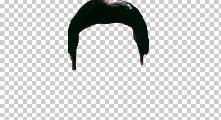 Hairstyle Pompadour Wig PNG, Clipart, Blond, Decal, Elvis Presley, Greaser, Hair Free PNG Download