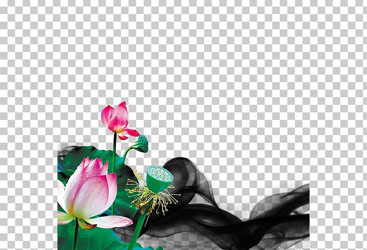 Nelumbo Nucifera Leaf Computer File PNG, Clipart, Album, Album Vector, Artificial Flower, Computer Wallpaper, Cut Flowers Free PNG Download