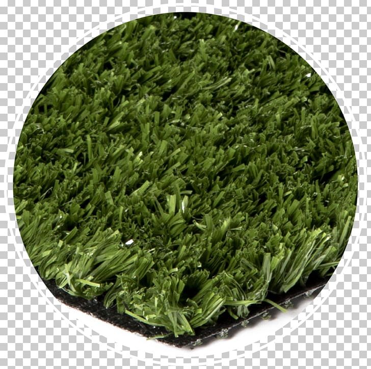 Artificial Turf Master Your Short Game Lawn Bentgrass Synthetic Fiber PNG, Clipart, Artificial Turf, Bentgrass, Climate, Economy, Grass Free PNG Download