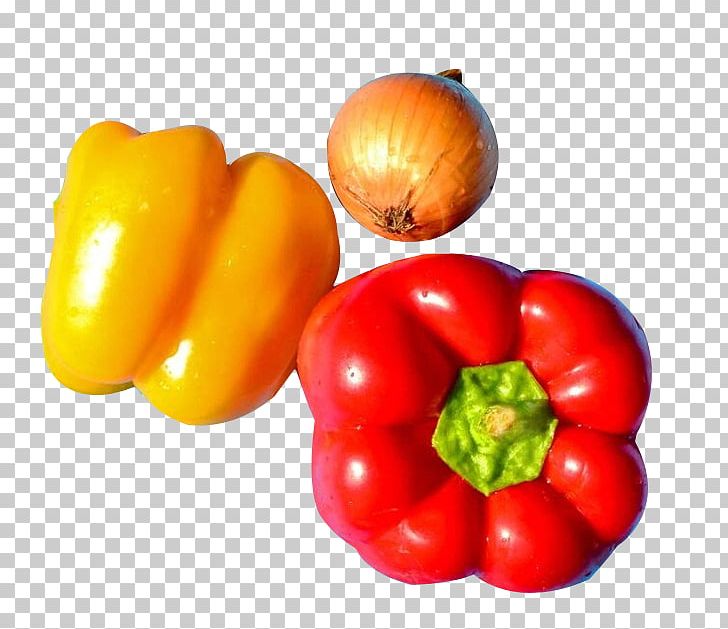 Bell Pepper Chili Pepper Chili Con Carne Plum Tomato Pimiento PNG, Clipart, Bell Pepper, Chili Pepper, Food, Fruit, Natural Foods Free PNG Download