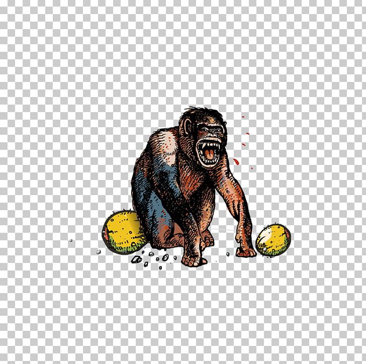 Gorilla Monkey Orangutan Common Chimpanzee Cartoon PNG, Clipart, Animal, Animals, Animation, Ask, Ask For A Favor Free PNG Download