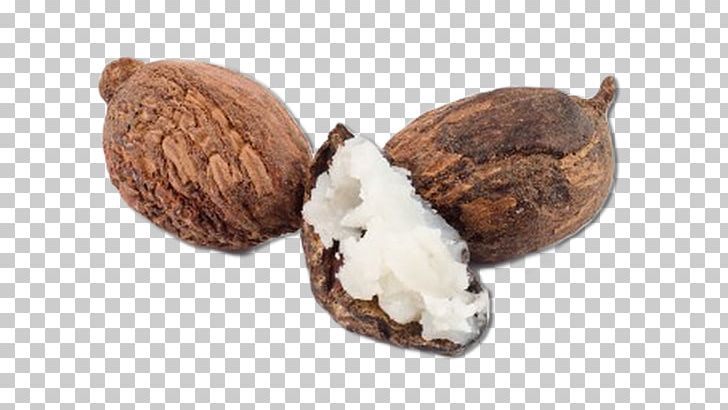 Vitellaria Shea Butter Nut Organic Food PNG, Clipart, Butter, Cocoa Butter, Commodity, Cosmetics, Fat Free PNG Download
