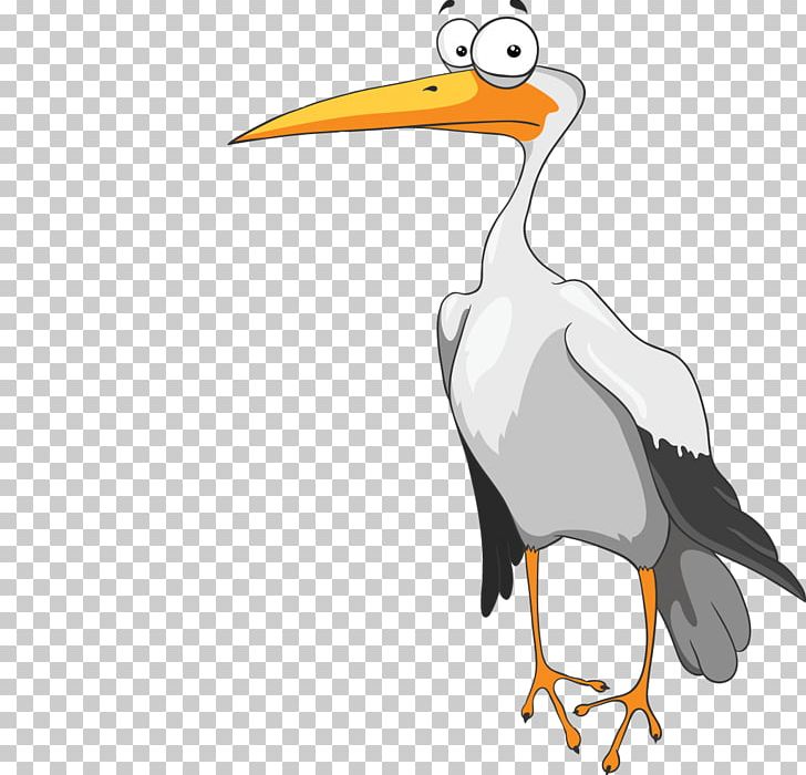 White Stork Bird PNG, Clipart, Animals, Beak, Bird, Ciconia, Computer Icons Free PNG Download