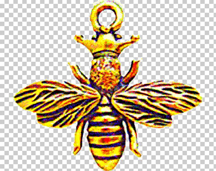 Honey Bee Drawing Art PNG, Clipart, Anonymous, Art, Arthropod, Author, Bee Free PNG Download