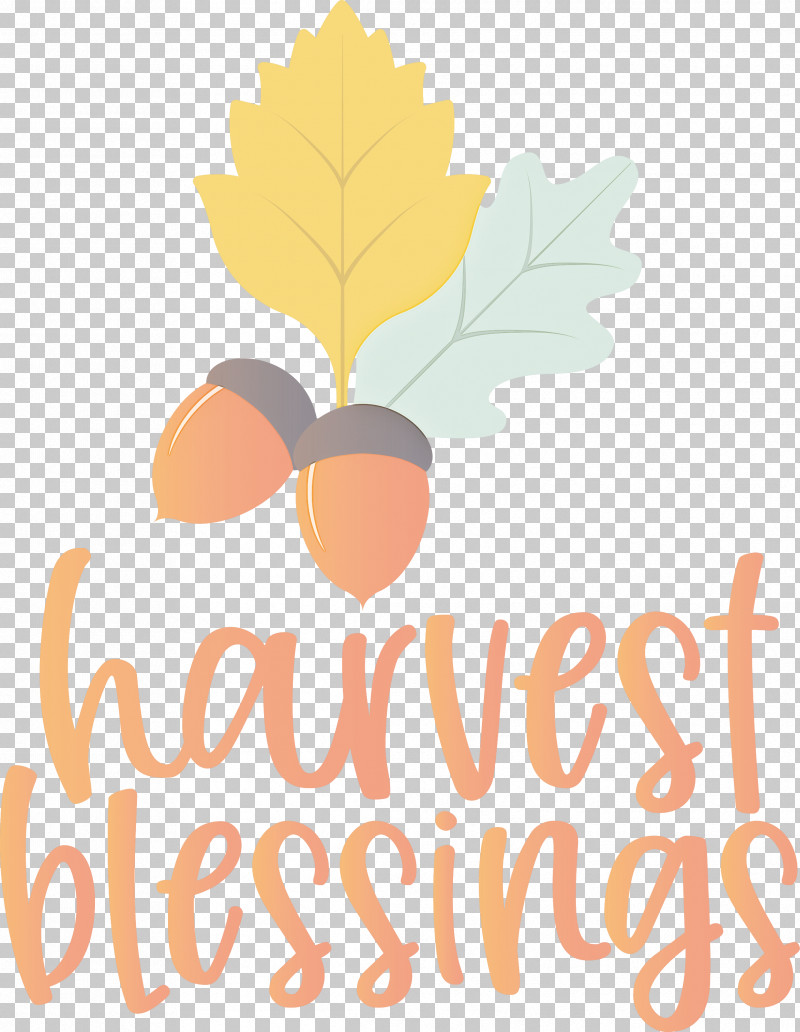 Harvest Autumn Thanksgiving PNG, Clipart, Autumn, Biology, Flower, Fruit, Harvest Free PNG Download