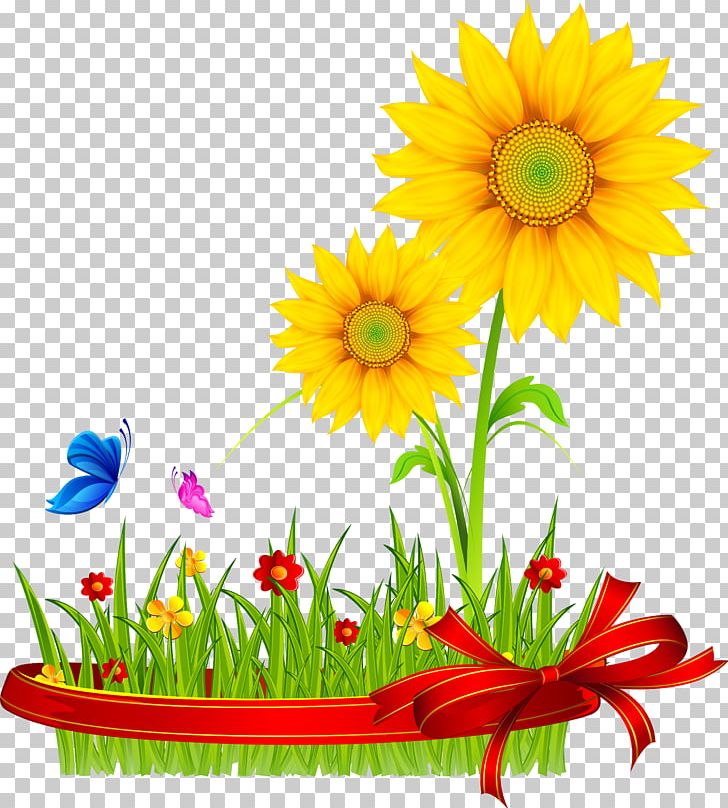 Common Sunflower Graphic Design PNG, Clipart, Color, Common Sunflower, Cut Flowers, Daisy, Daisy Family Free PNG Download