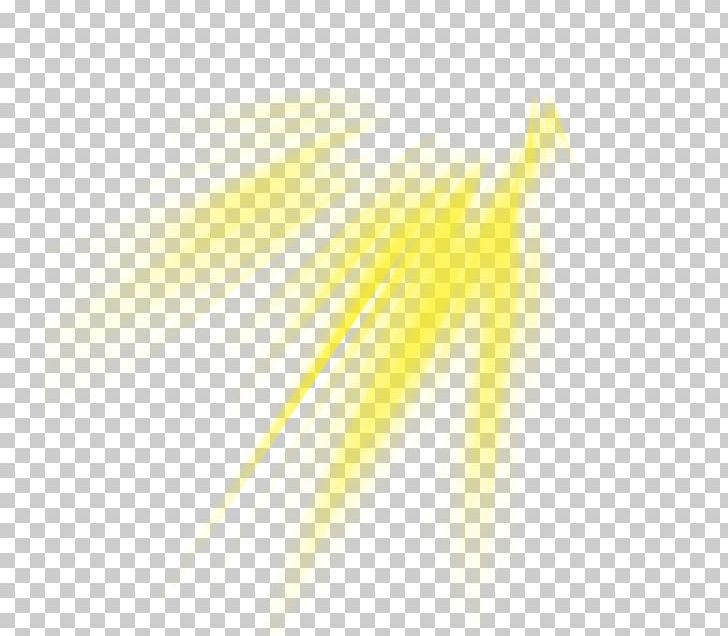 Desktop Sunlight Computer Close-up Font PNG, Clipart, Closeup, Closeup, Computer, Computer Wallpaper, Desktop Wallpaper Free PNG Download