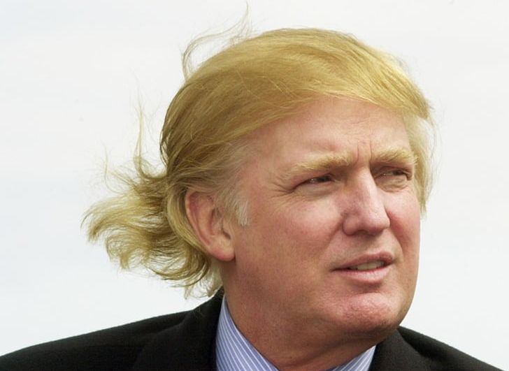Donald Trump United States Comb Over Hairstyle PNG, Clipart, Actor, Breitbart News, Celebrities, Chin, Comb Over Free PNG Download