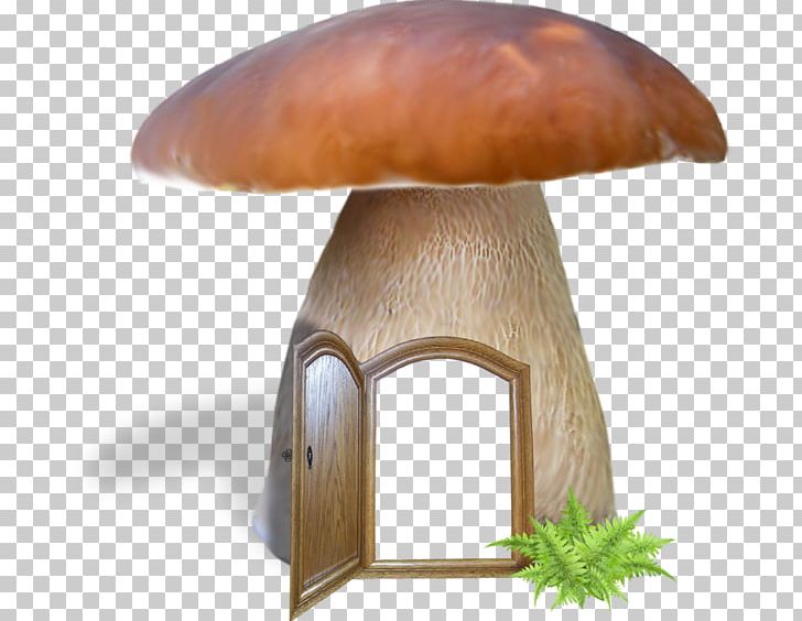 Edible Mushroom Fungus Common Mushroom PNG, Clipart, Agaricus, Autumn, Chaga Mushroom, Common Mushroom, Edible Mushroom Free PNG Download