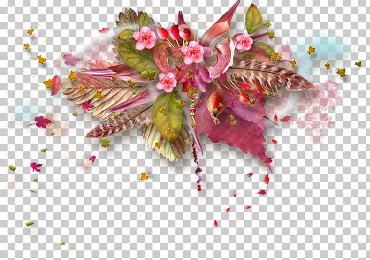 Petal Flower Insect Close-up PNG, Clipart,  Free PNG Download