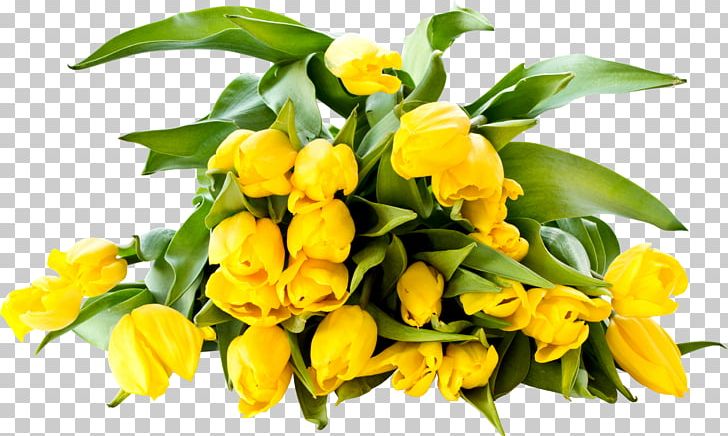 Desktop Yellow Tulip Color PNG, Clipart, Color, Computer Monitors, Cut Flowers, Desktop Wallpaper, Floral Design Free PNG Download