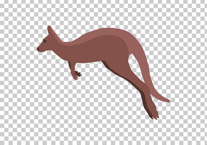 Macropodidae Kangaroo PNG, Clipart, Animals, Autocad Dxf, Boxing Kangaroo, Carnivoran, Computer Icons Free PNG Download