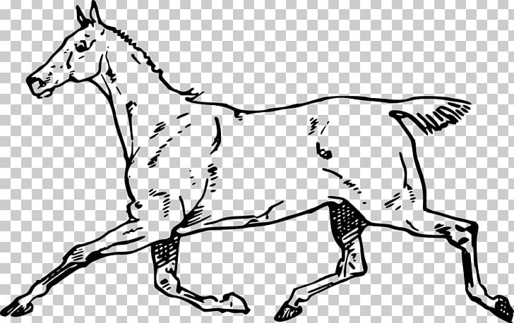 Mule Canter And Gallop Mustang PNG, Clipart, Animal, Animal Figure, Art, Black And White, Bridle Free PNG Download