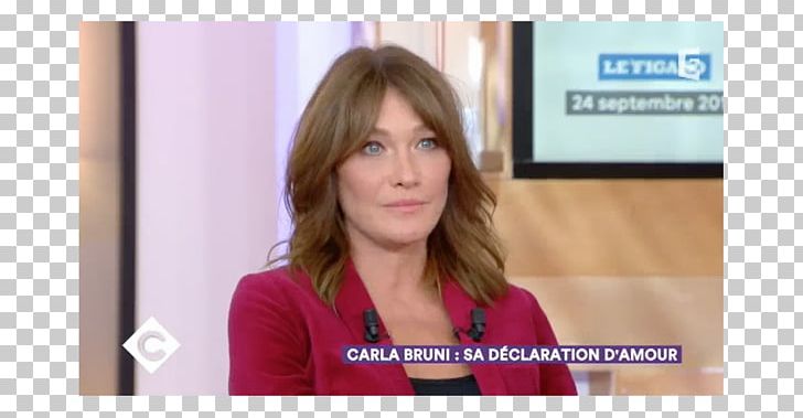 Carla Bruni French Touch The Republicans (France) Presidential Primary PNG, Clipart, Blond, Business, Carla Bruni, Communication, Female Free PNG Download