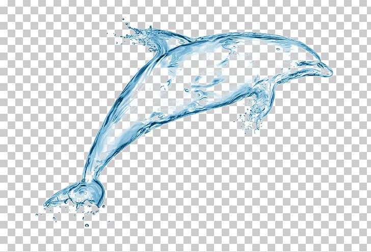 Drop Splash Water Creativity Drawing PNG, Clipart, Animal, Animals, Art, Blue, Dolphins Free PNG Download