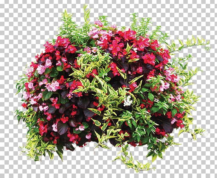 Flowerpot Plant Shrub PNG, Clipart, Annual Plant, Cut Flowers, Decoration, Floral Design, Flowe Free PNG Download