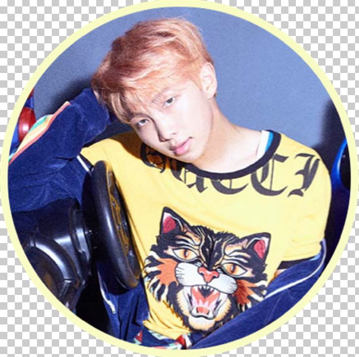 J-Hope BTS Love Yourself: Her For You South Korea PNG, Clipart, Bighit Entertainment Co Ltd, Bts, Bts Namjoon, Cat, Chatbot Free PNG Download