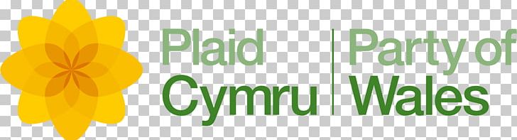 Wales Plaid Cymru Logo United Kingdom General Election PNG, Clipart, Brand, Computer Wallpaper, Election, Flower, Graphic Design Free PNG Download