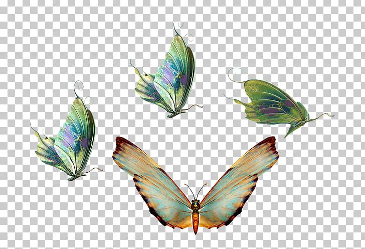 Butterfly Insect Transparency And Translucency PNG, Clipart, Butterfly, Color, Dots Per Inch, Download, Image Resolution Free PNG Download