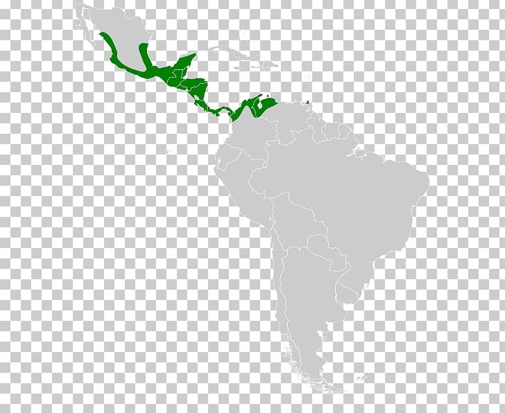 Latin America South America Central America Caribbean United States PNG, Clipart, Americas, Caribbean, Central America, Distribution, File Free PNG Download