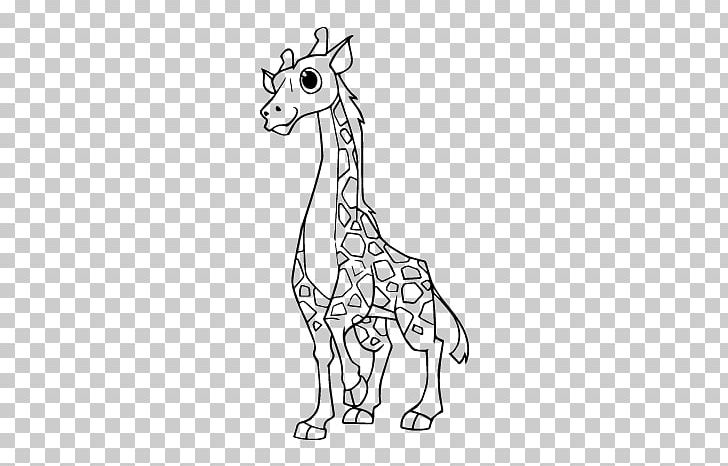 National Geographic Animal Jam Okapi Drawing Northern Giraffe PNG, Clipart, Animal, Animal Figure, Art, Artwork, Black And White Free PNG Download