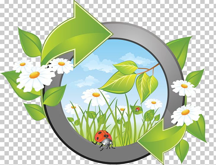 Tyumen Afula Nature Landscape PNG, Clipart, Butterfly, Computer Icons, Computer Wallpaper, Dandelion, Environmental Impact Assessment Free PNG Download
