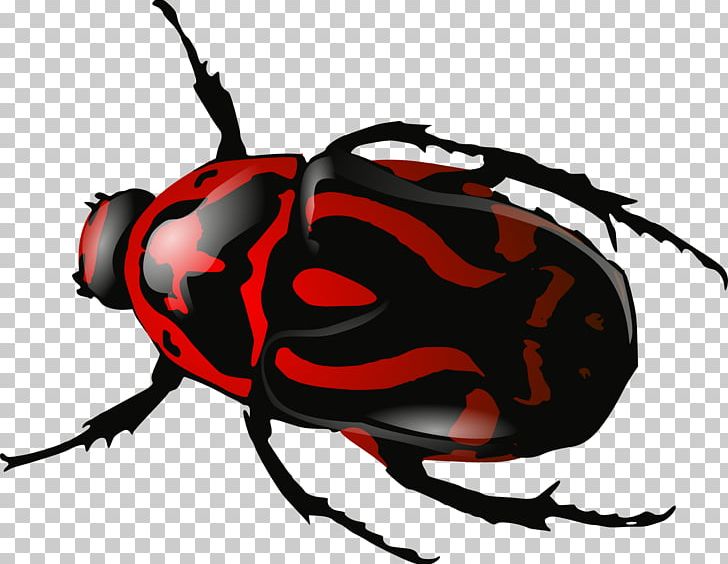 Beetle PNG, Clipart, Animals, Arthropod, Artwork, Beetle, Computer Icons Free PNG Download