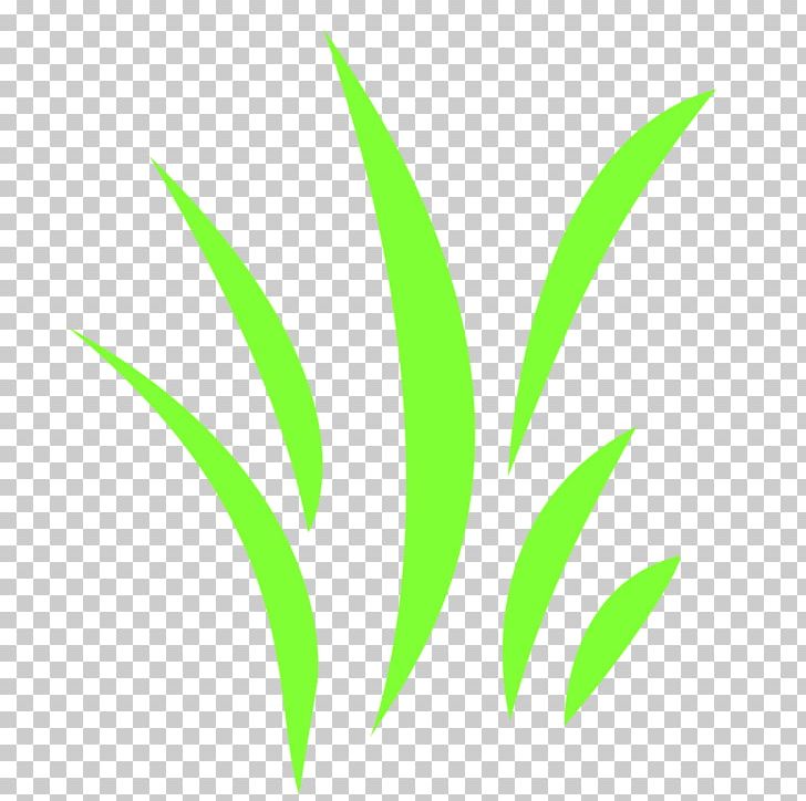 Leaf Grasses Plant Stem Font PNG, Clipart, Family, Grass, Grasses, Grass Family, Green Free PNG Download