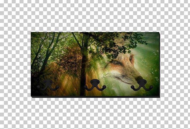 Red Fox Forest Desktop Wildlife PNG, Clipart, Animal, Bany De Bosc, Deciduous, Desktop Wallpaper, Ecosystem Free PNG Download