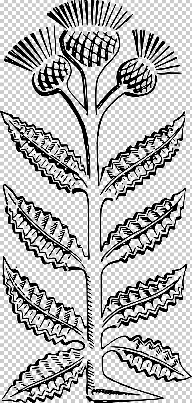 Thistle PNG, Clipart, Area, Black And White, Branch, Cartoon, Clip Art Free PNG Download
