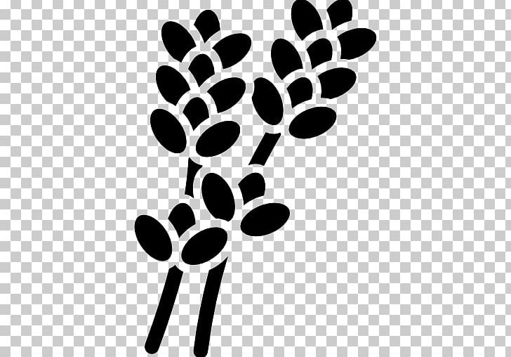 English Lavender Computer Icons Perfume Phebo PNG, Clipart, Beeswax, Black, Black And White, Branch, Calendula Officinalis Free PNG Download