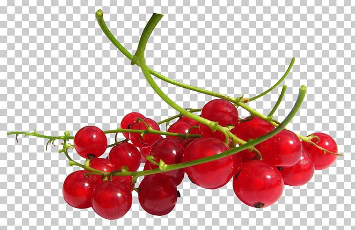 Redcurrant Frutti Di Bosco Zante Currant Cranberry Fruit PNG, Clipart, Berries, Berry, Blackcurrant, Blueberry, Bosco Free PNG Download