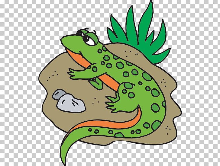 Toad Salamander Newt True Frog PNG, Clipart, Amphibian, Animal, Animal Migration, Animals, Artwork Free PNG Download