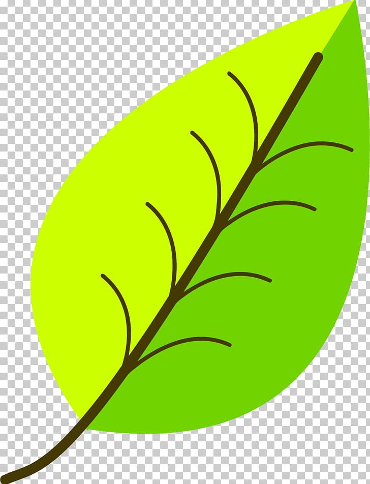 Autumn Leaf Color PNG, Clipart, Artwork, Autumn, Autumn Leaf Color, Computer Icons, Green Free PNG Download