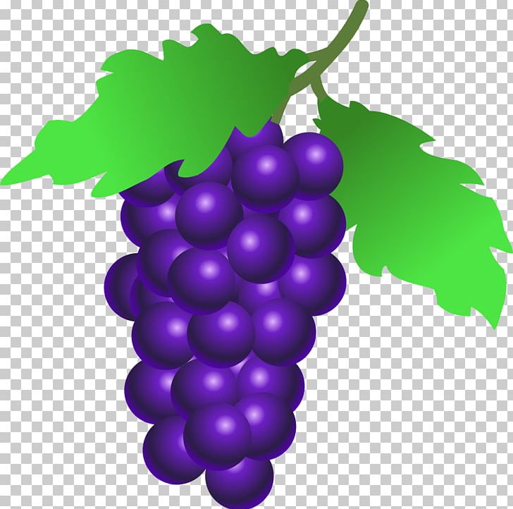 Common Grape Vine Wine Grappa Berry PNG, Clipart, Berry, Common Grape Vine, Drawing, Flowering Plant, Food Free PNG Download