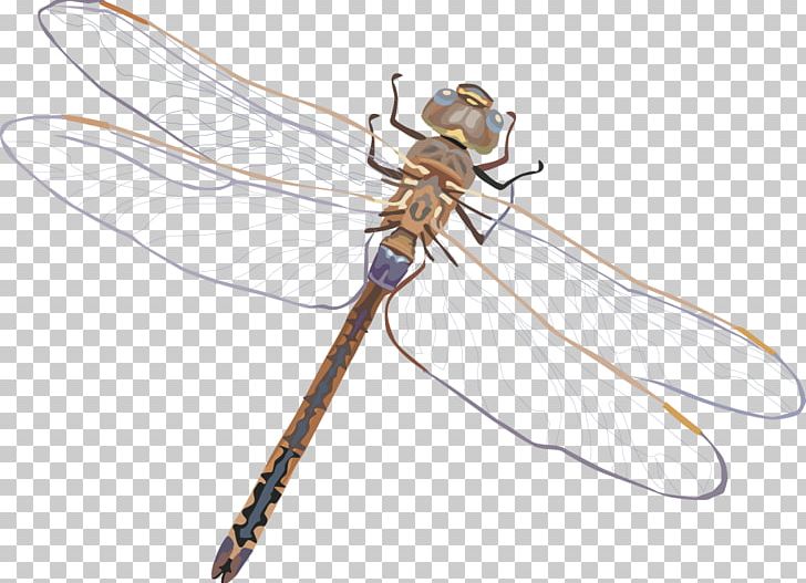 Dragonfly Euclidean PNG, Clipart, Adobe Illustrator, Arthropod, Cartoon Dragonfly, Down, Dragonfly With Flower Free PNG Download