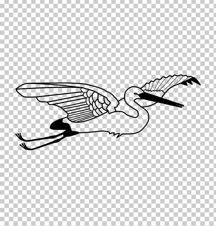 Feather Water Bird Goose Beak PNG, Clipart, Anatidae, Animals, Artwork, Beak, Bird Free PNG Download