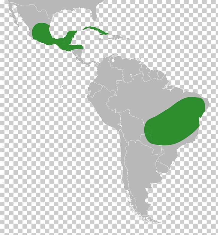 Latin America South America Central America Linguistic Map PNG, Clipart, Americas, Central America, Distribution, English, Geography Free PNG Download